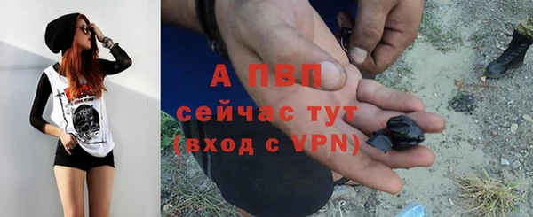 прущие грибы Верхнеуральск