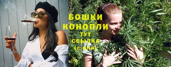 дурь Верея