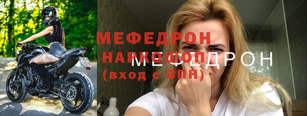 индика Волоколамск