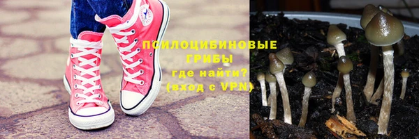 дурь Верея