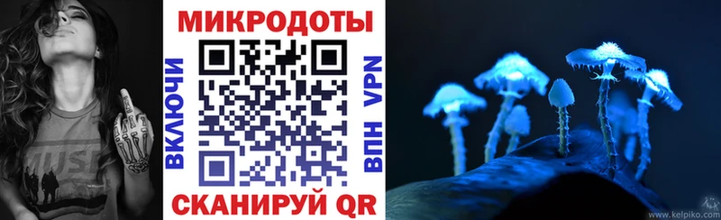 Галлюциногенные грибы мухоморы  Луга 